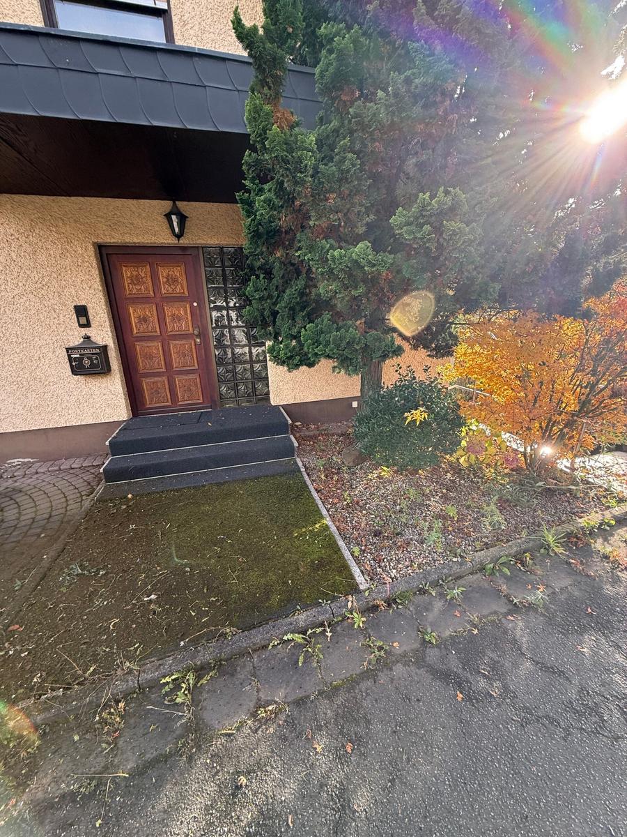 Eingangsbereich – Moosentfernung