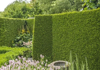 Gartenpflege